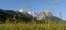Gletscher