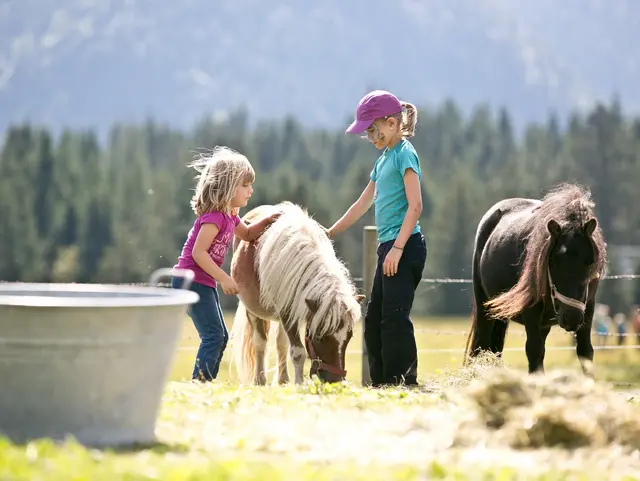 - © Chiemgau Tourismus e.V. Zwei Kinder striegeln die Ponys auf dem Bauernhof