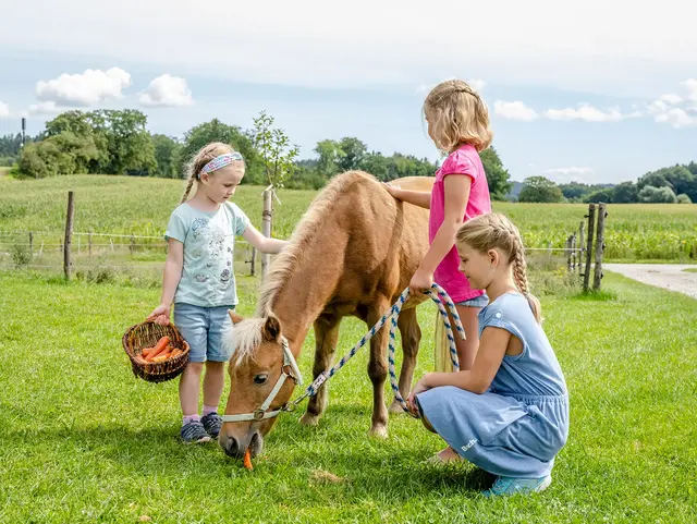 - © Medienservice ProGenuss® Kinder streicheln und füttern das Pony auf der Weide