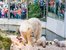 Tierpark Hellabrunn