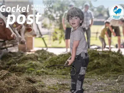 kostenloser Gockelpost Newsletter
