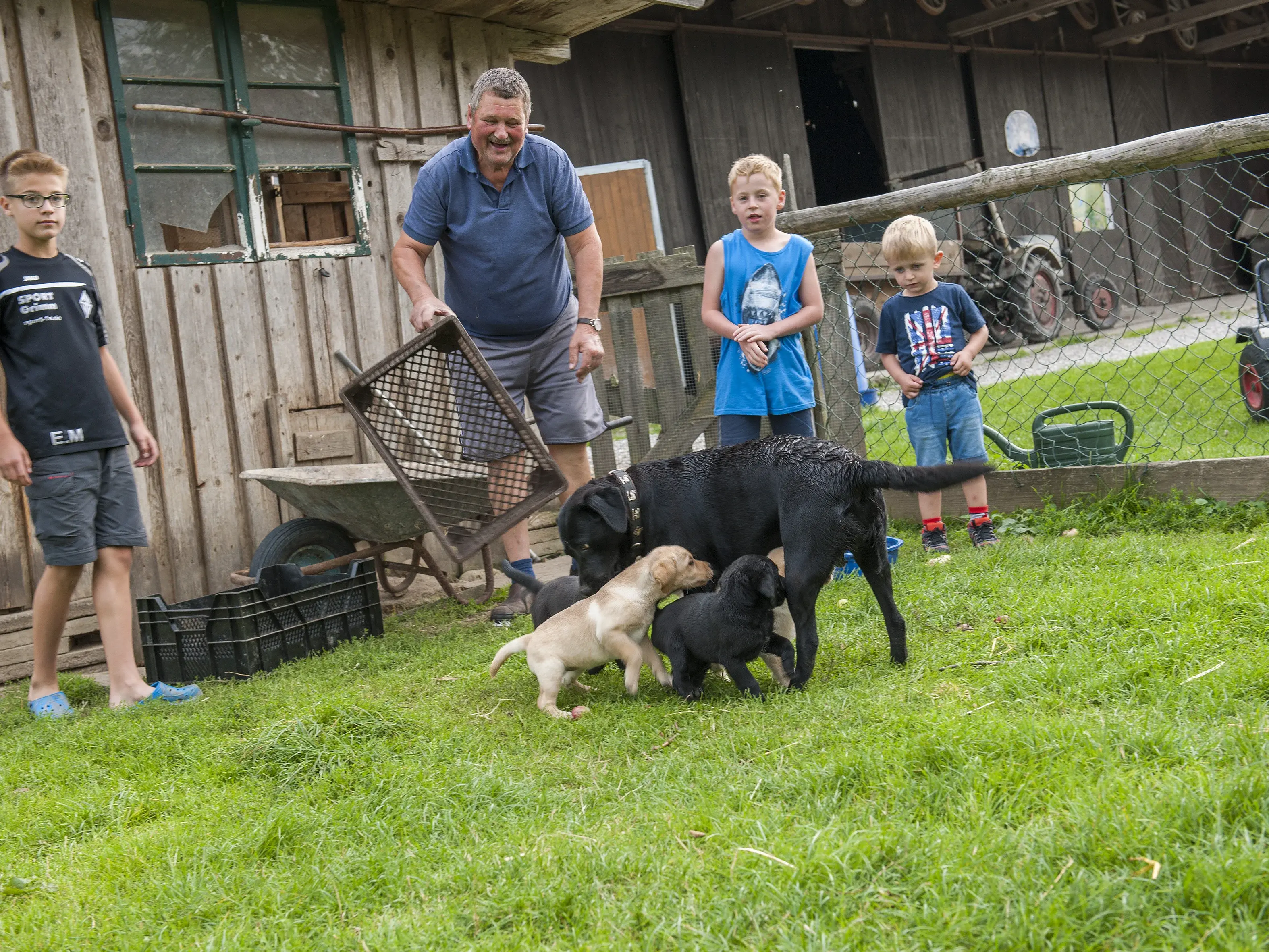 Urlaub mit Hund - © Chiemgau Tourismus e.V Gäste vom Huberhof aus Truchtlaching spielen mit den Hunden.