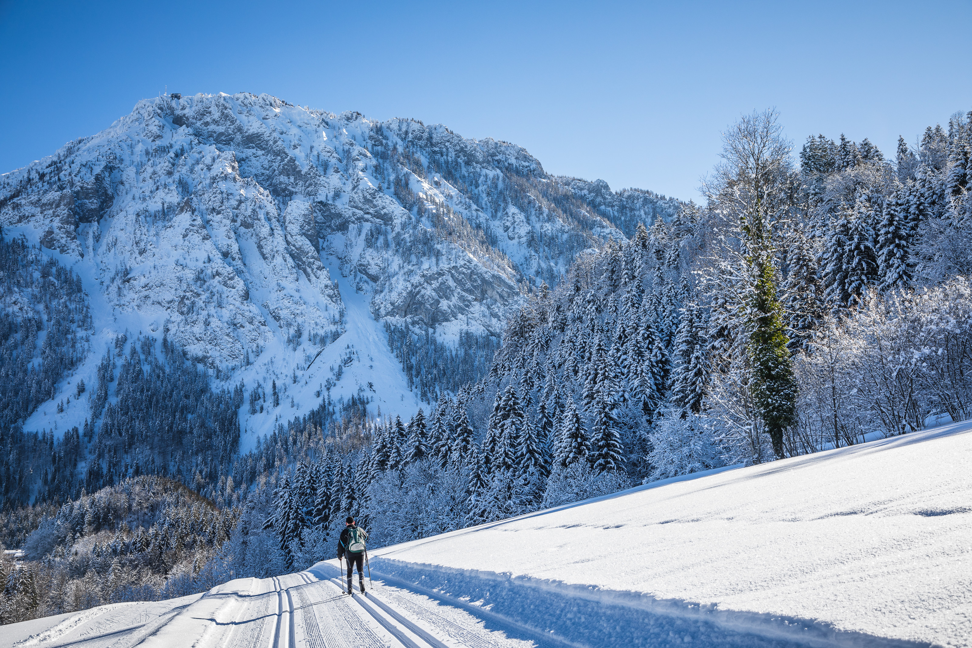 Langlauf Wasen Rauschberg